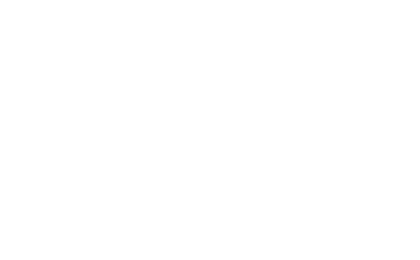 ICAM Professional